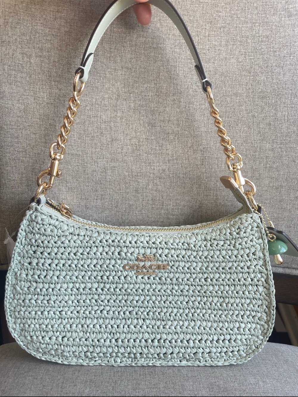 NWT！Coach straw Teri Shoulder Bag With Green Mushroom （CBH59）fast shipping